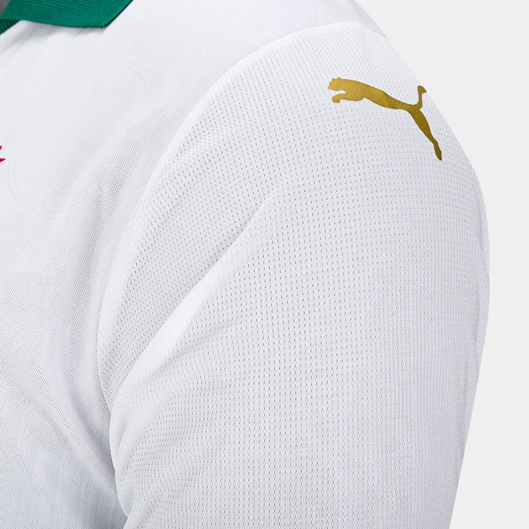 Camisa II do Palmeiras 2024 Puma Torcedor Masculina