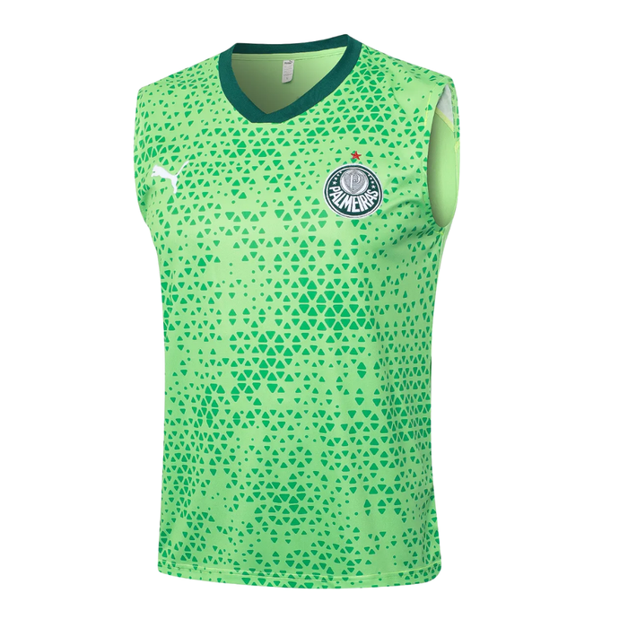 Camisa Palmeiras Treino Regata 24/25 Verde Masculina