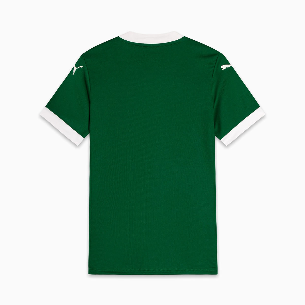 Camisa Palmeiras HOME 2025 Feminina Torcedora