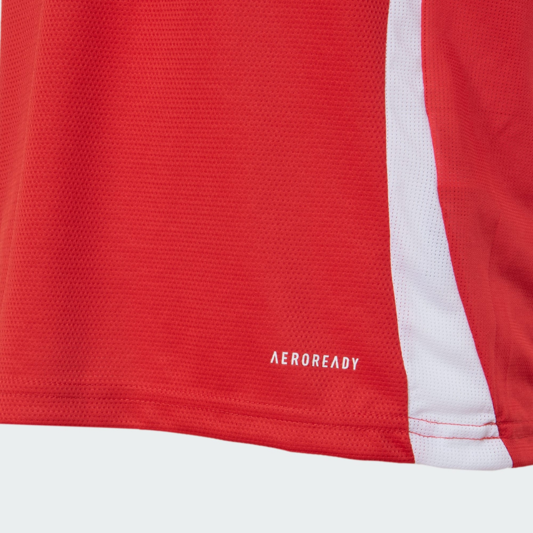 Camisa I SC Internacional 25/26 Torcedor Masculina