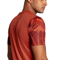 Camisa Puma Palmeiras Goleiro II 2025 Masculina