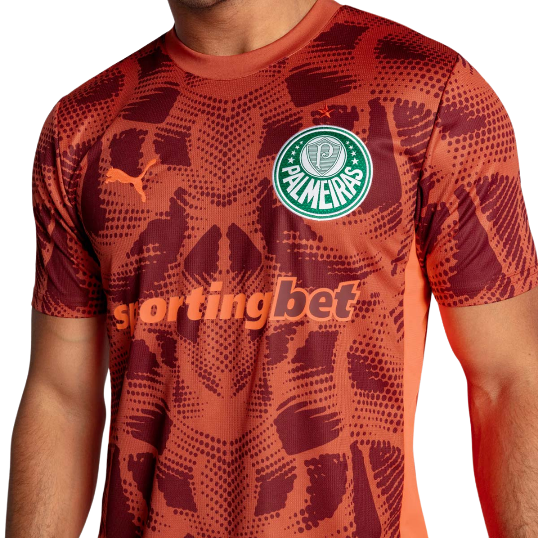 Camisa Puma Palmeiras Goleiro II 2025 Masculina