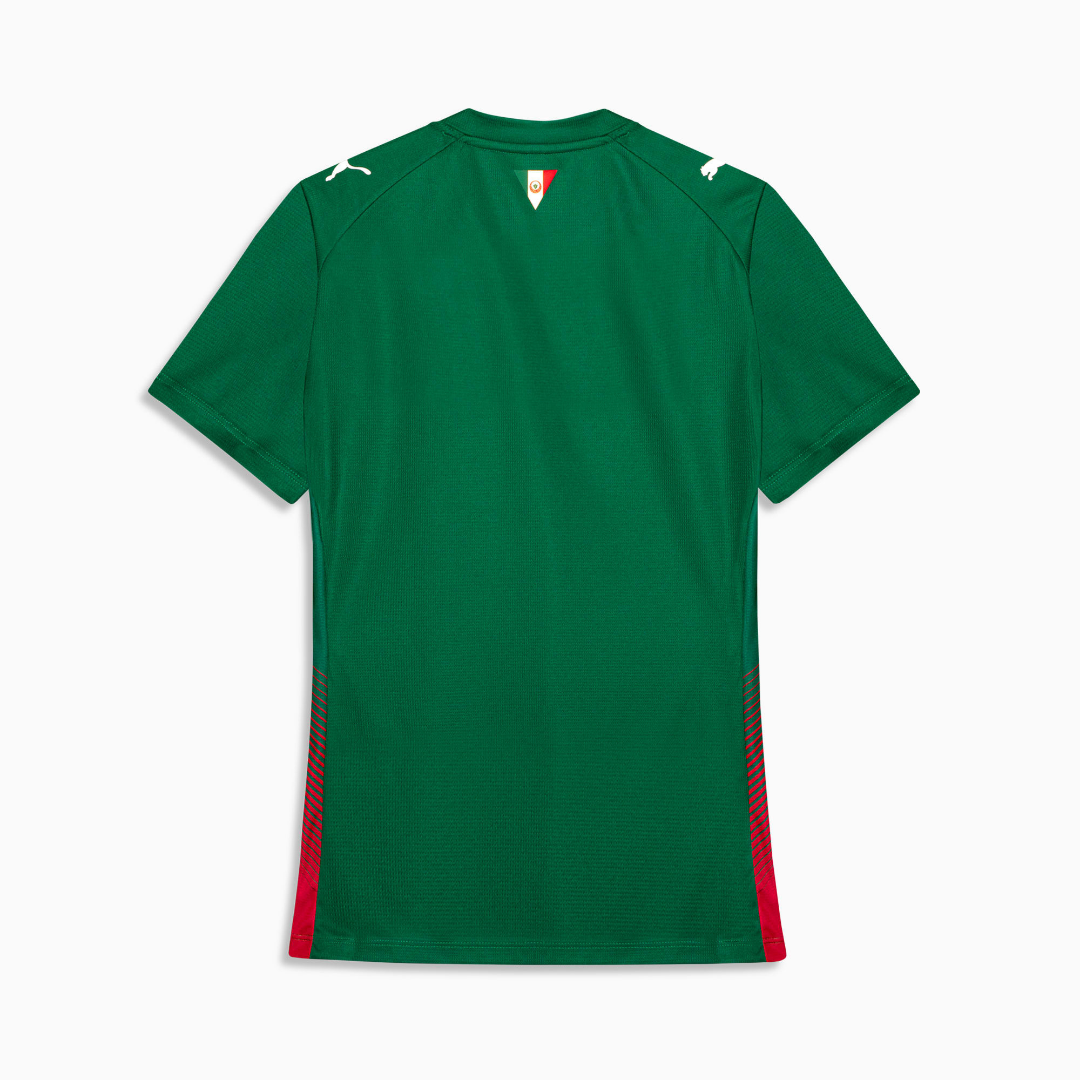 Camisa Palmeiras HOME 2026 Torcedora Feminina