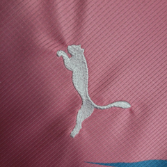 Camisa Palmeiras Outubro Rosa Torcedor Masculina