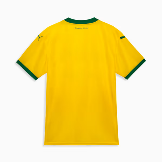 Camisa Palmeiras Third 25/26 Torcedor Masculino