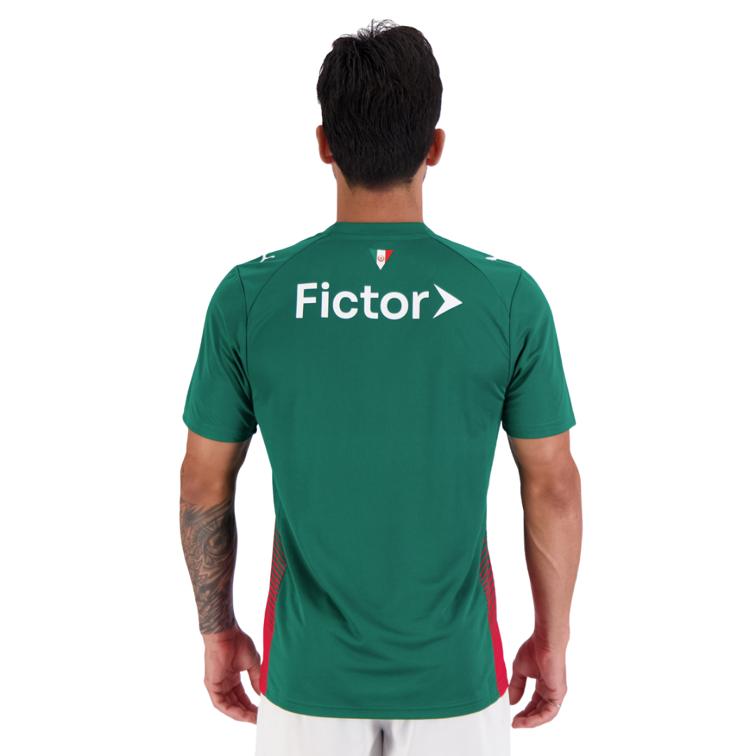 Camisa Puma Palmeiras I 2026 Torcedor Masculina