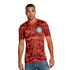 Camisa Puma Palmeiras Goleiro II 2025 Masculina