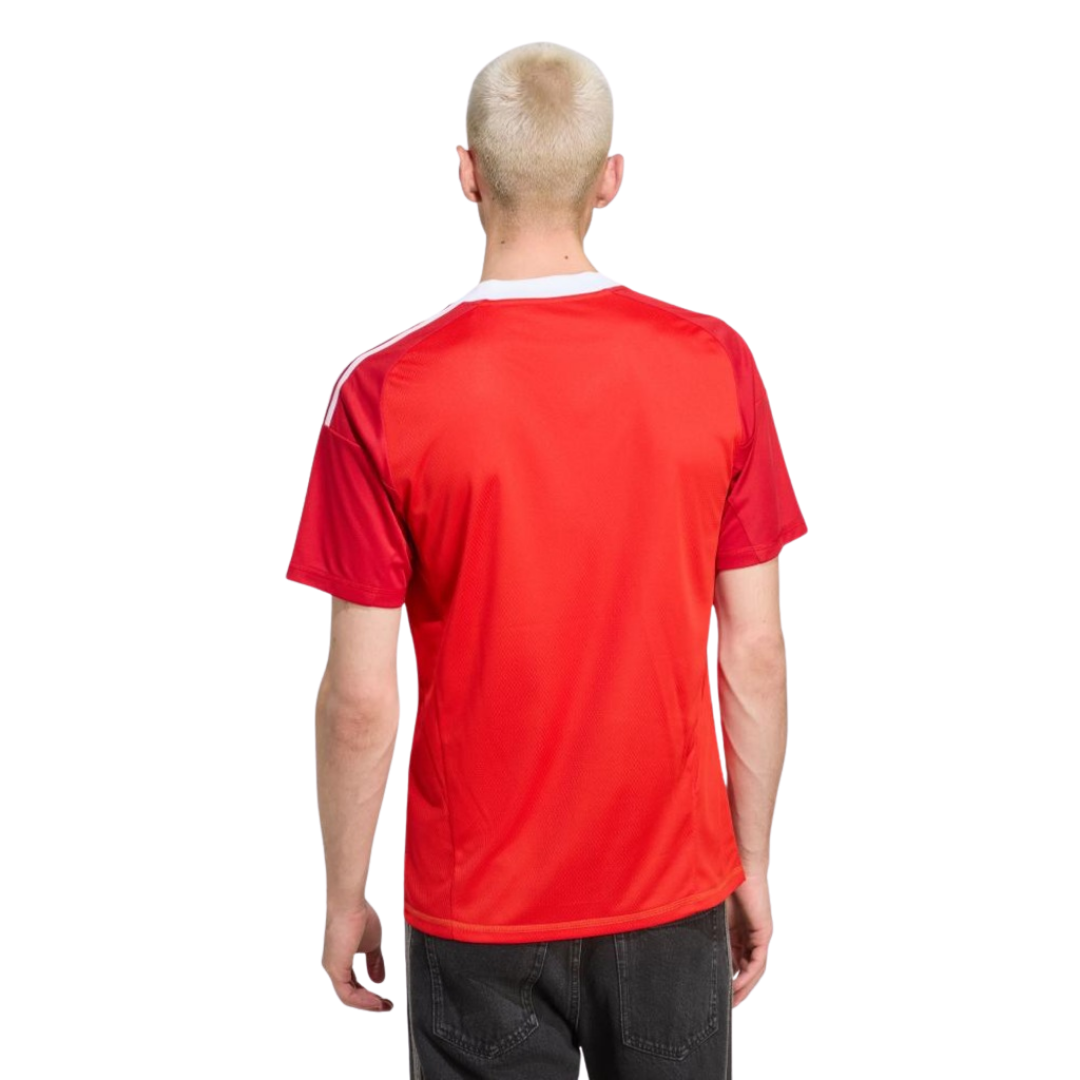 Camisa de Goleiro do Flamengo II 25/26 Adidas Masculina