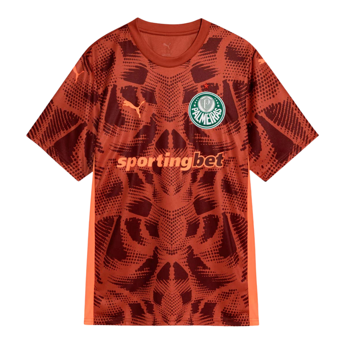 Camisa Puma Palmeiras Goleiro II 2025 Masculina