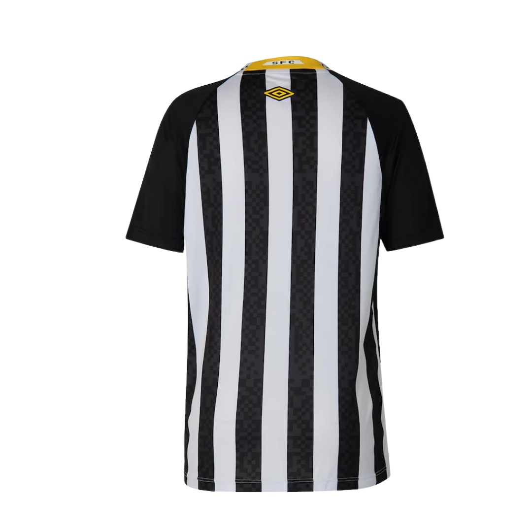 Camisa do Santos II 2025 Torcedor Masculina