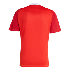 Camisa de Goleiro do Flamengo II 25/26 Adidas Masculina