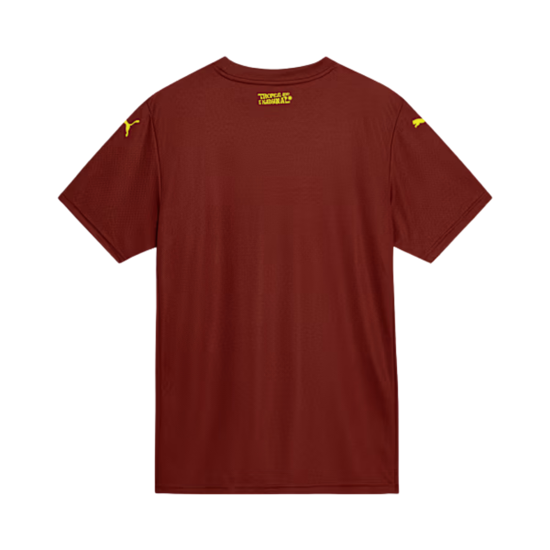 Camisa Bahia Torcedor Third 2025