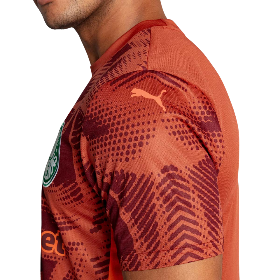 Camisa Puma Palmeiras Goleiro II 2025 Masculina