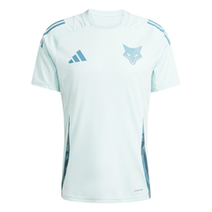 Camisa de Treino do Cruzeiro 2025 Adidas Masculina