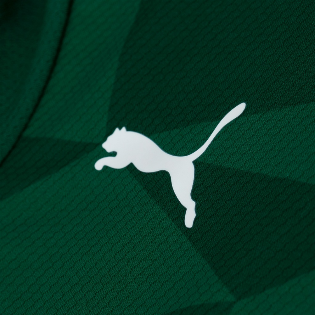 Camisa do Palmeiras I 23 Masculina Puma Torcedor