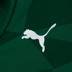 Camisa do Palmeiras I 23 Masculina Puma Torcedor