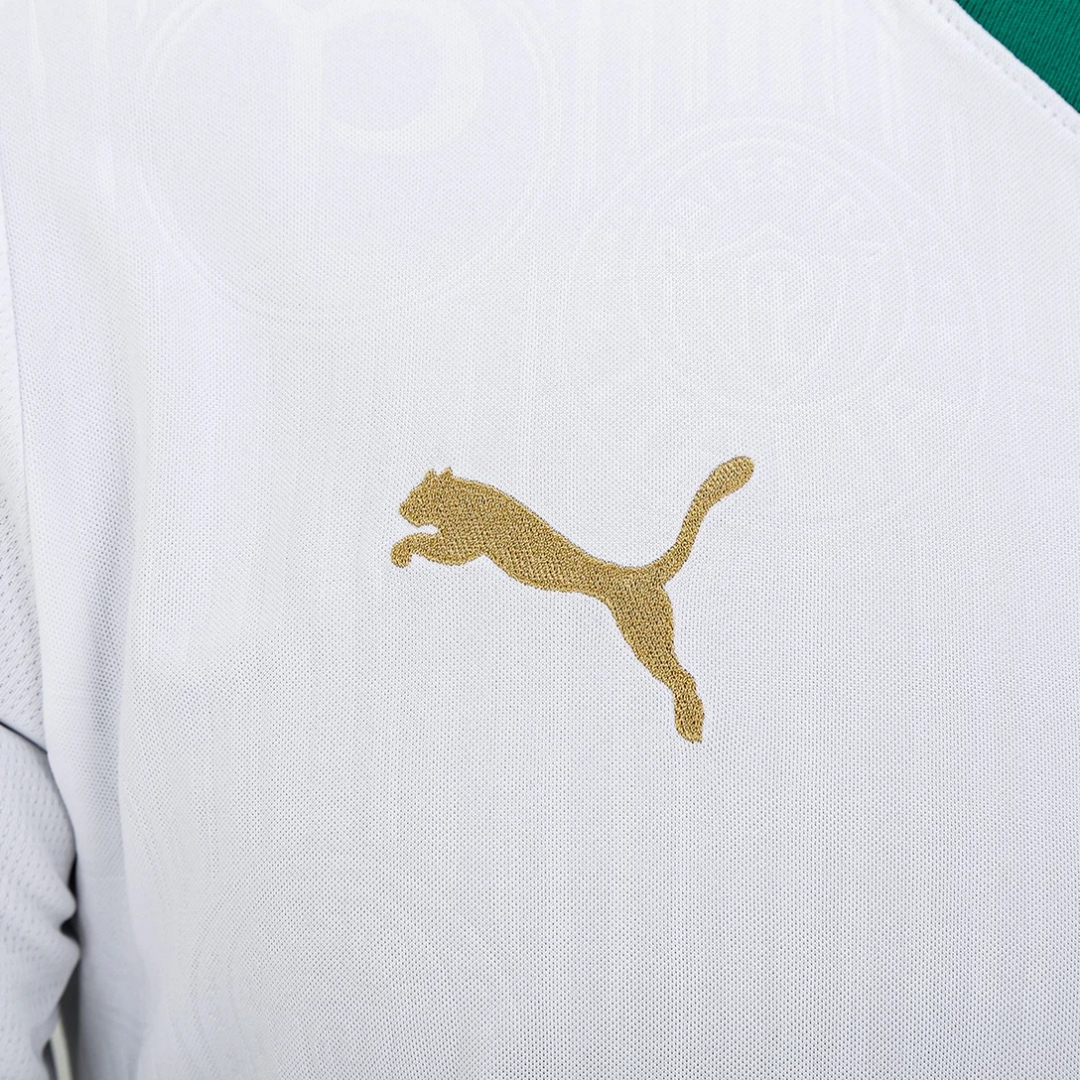 Camisa II do Palmeiras 2024 Puma Torcedor Masculina