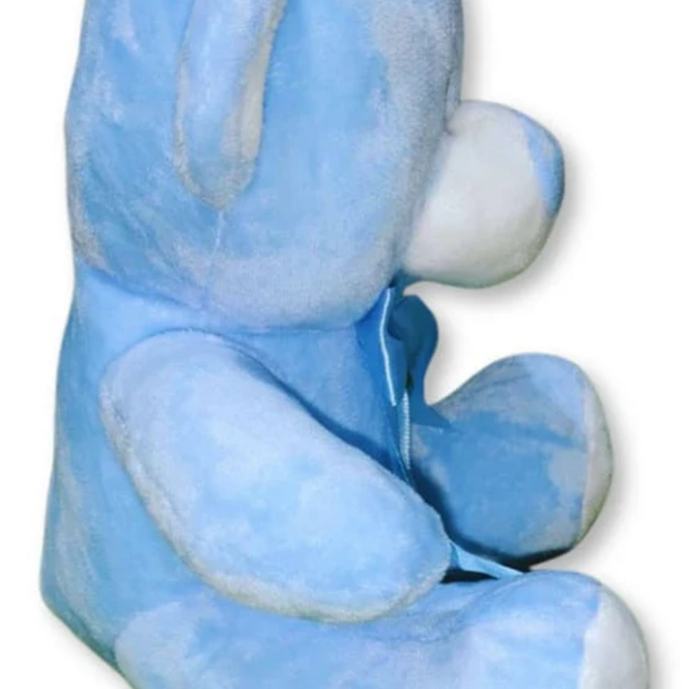 Urso de Pelúcia Amigo de Todos Azul