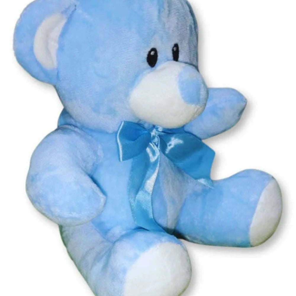 Urso de Pelúcia Amigo de Todos Azul